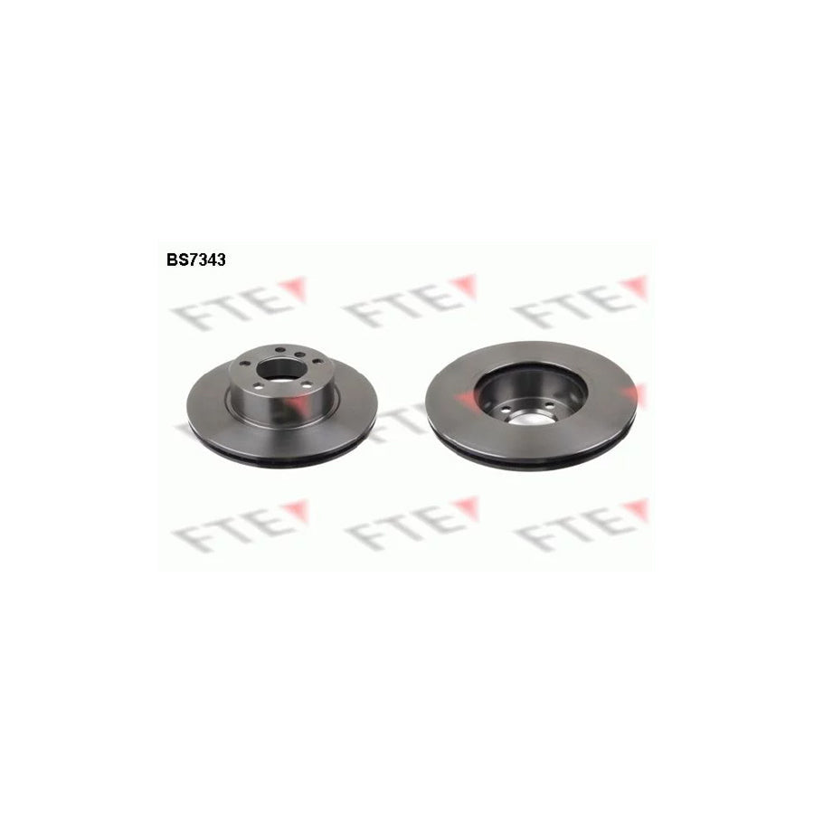 FTE Bs7343 Brake Disc