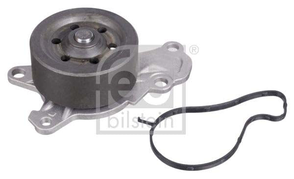 Febi Bilstein 10415 Guide Lining, Timing Chain