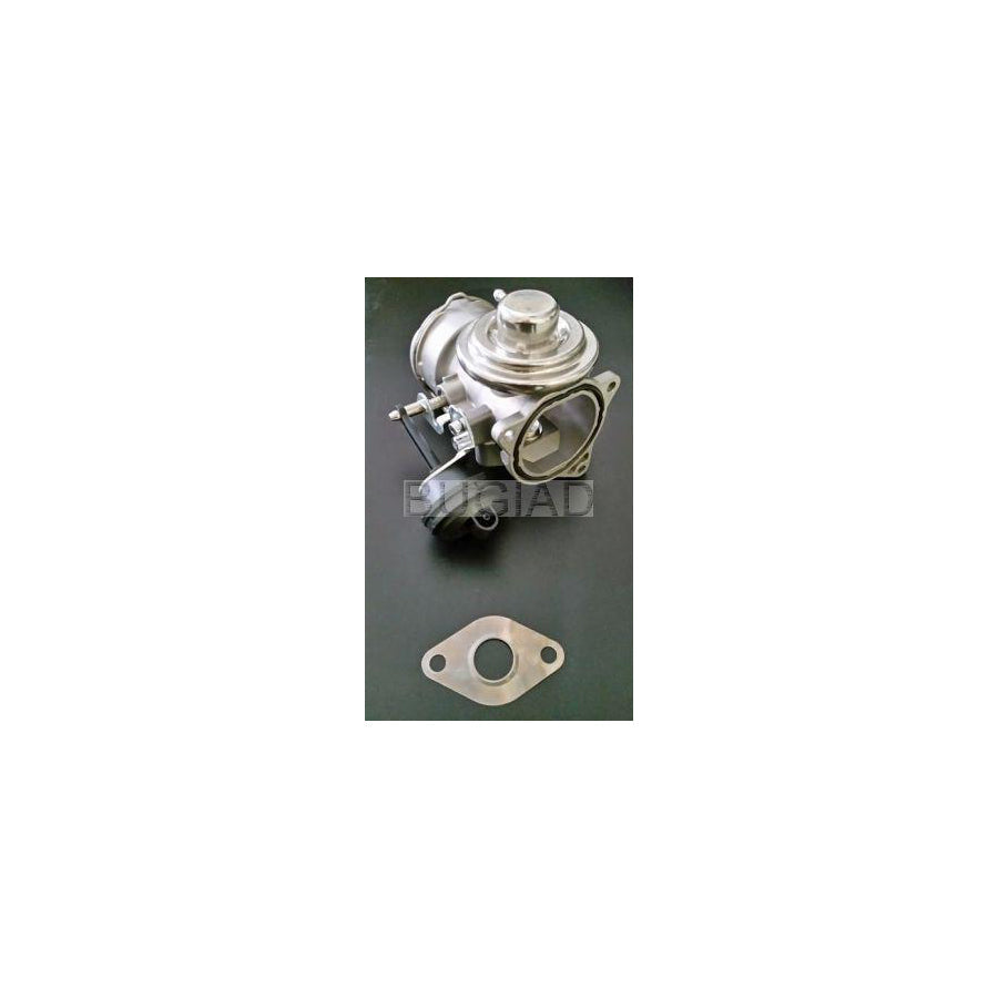 BUGIAD 54020 Egr Valve