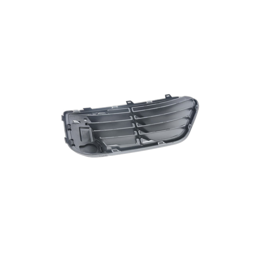 Genuine BMW 51117453989 F48 Open Grid, Left X-LINE (Inc. X1 18i, X1 20dX & X1 20i) | ML Performance US Car Parts