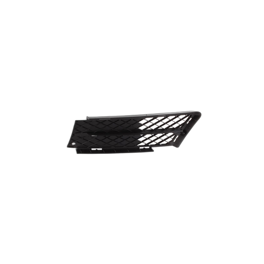 Genuine BMW 51117134081 E90 E91 Partially Open Grid, Left (Inc. 323i, 320i & 330d) | ML Performance UK Car Parts