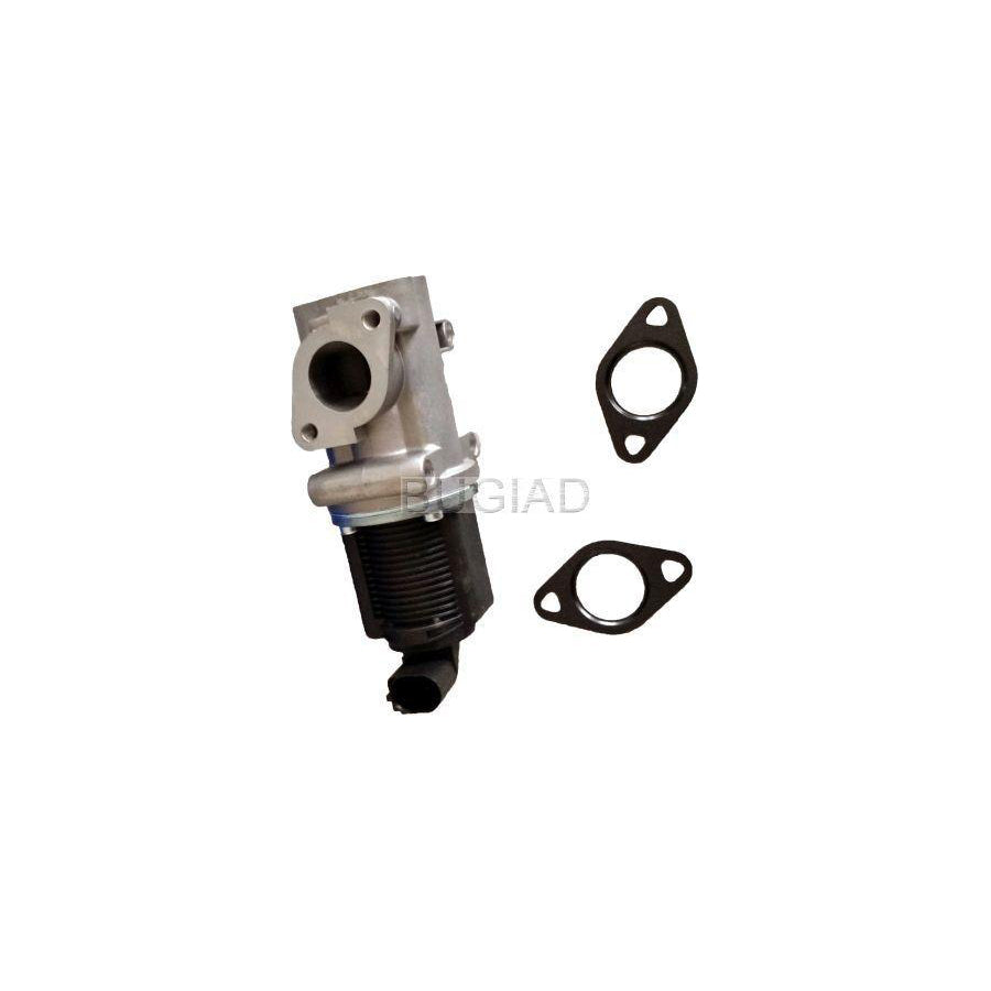 BUGIAD 54017 Egr Valve