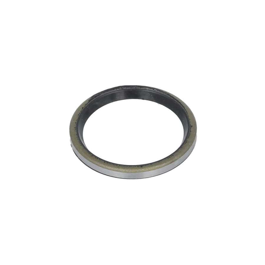 BTA B06-2201 Seal Ring, Stub Axle