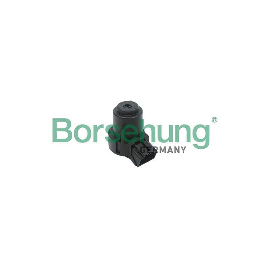 Borsehung B17994 Ignition Switch