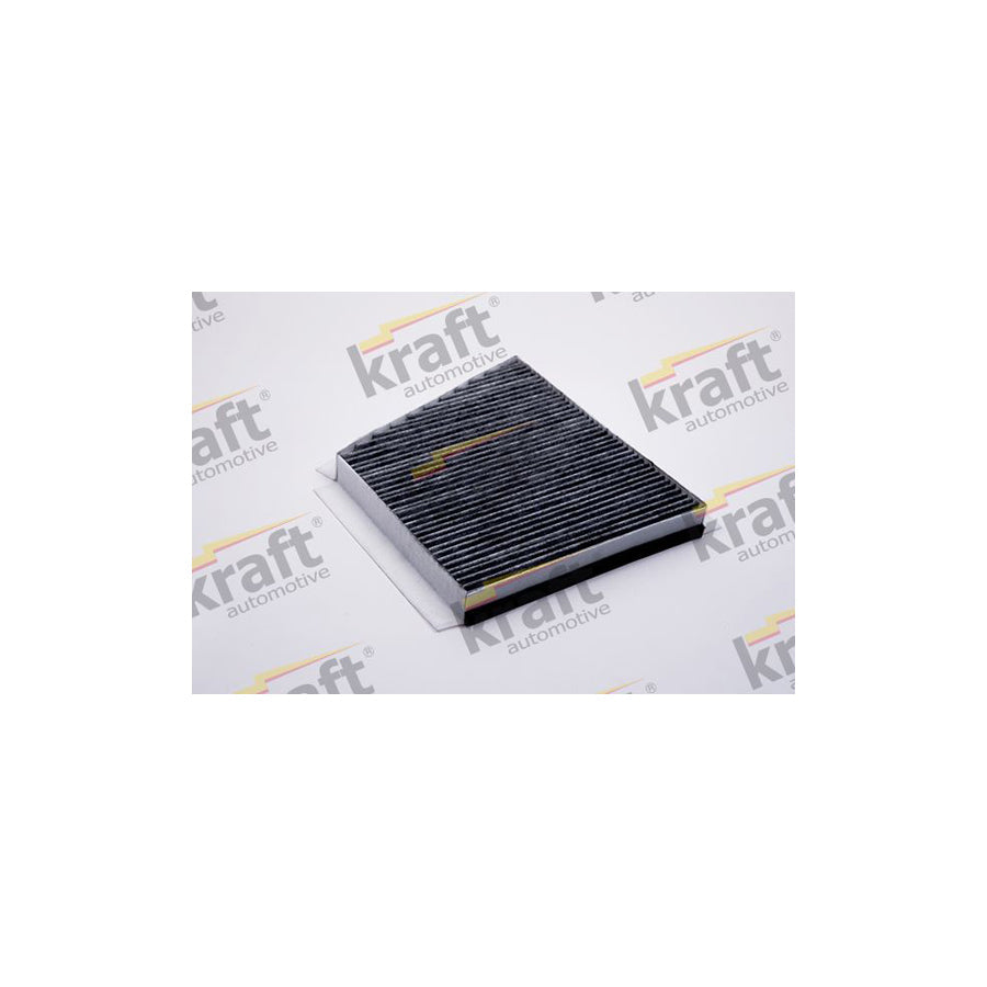 Kraft 1731205 Pollen Filter
