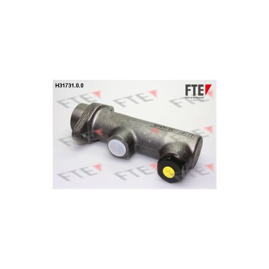 FTE H31731.0.0 Brake Master Cylinder
