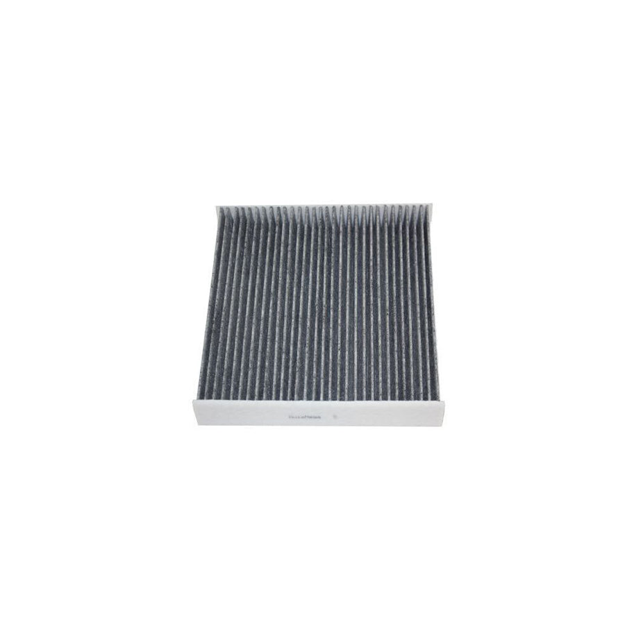 AUTOMEGA 180050510 Pollen Filter