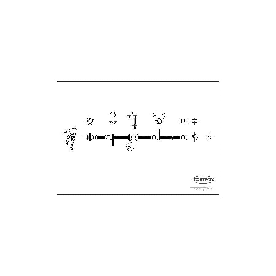 Corteco 19032901 Brake Hose