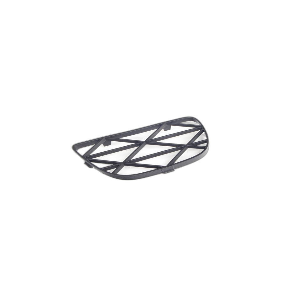 Genuine BMW 51118038267 E70 Open Grid, Left (Inc. X5) | ML Performance US Car Parts