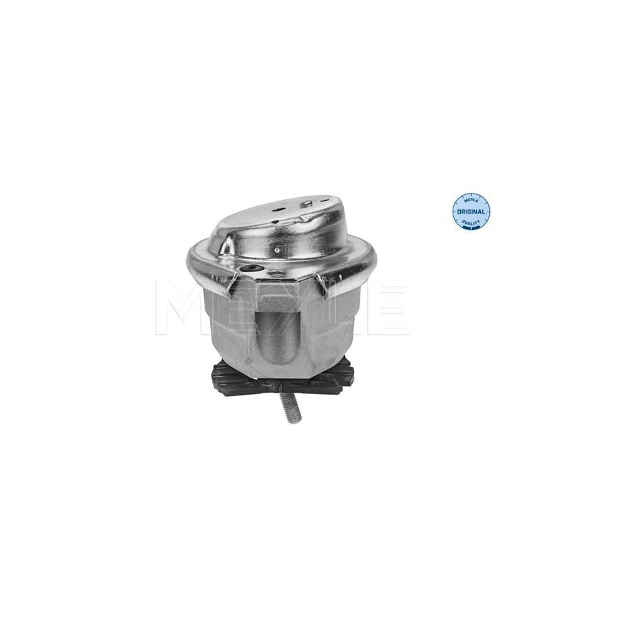 Meyle 300 221 1154 Engine Mount
