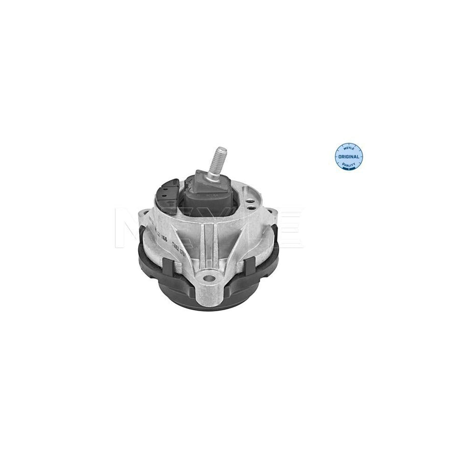 Meyle 300 221 1166 Engine Mount