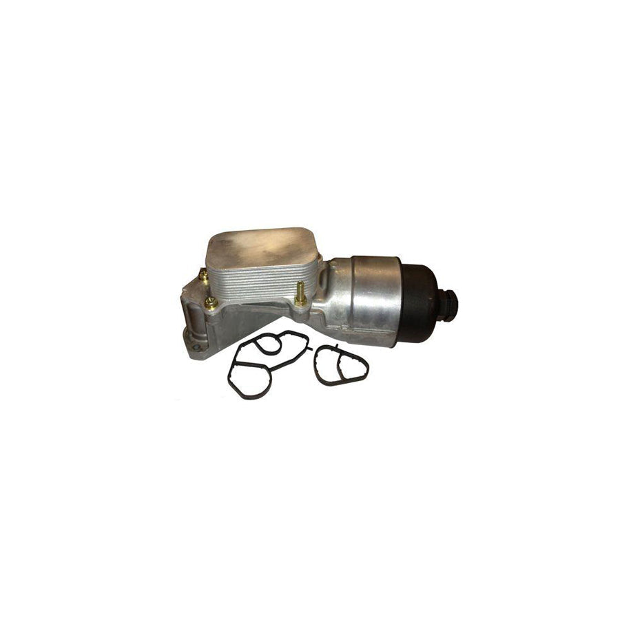 BUGIAD Bsp24943 Oil Filter Housing