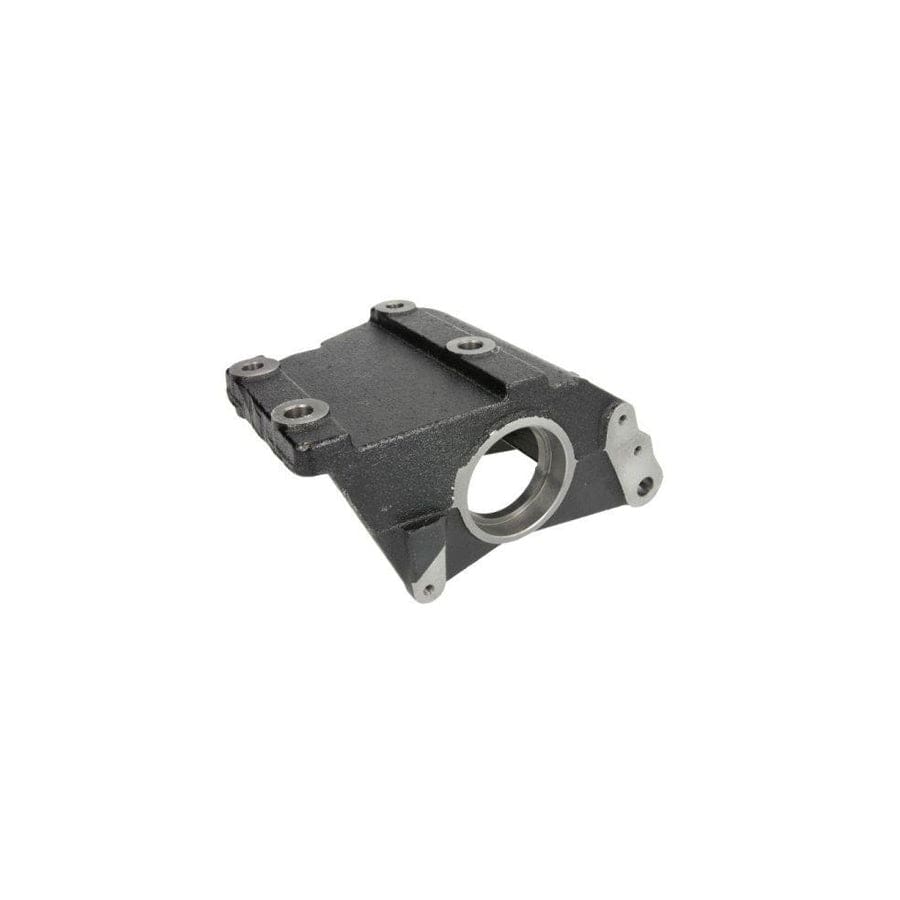 BTA G9F003BTA Propshaft Bearing