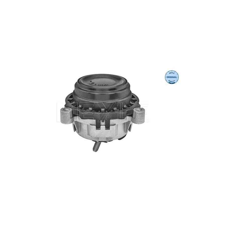 Meyle 300 221 1167 Engine Mount