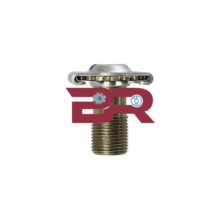 Botto Ricambi Brfr0059 Adjusting Bolt, Brake System