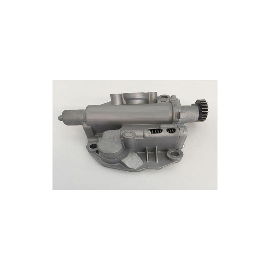 BUGIAD Bsp24942 Oil Pump