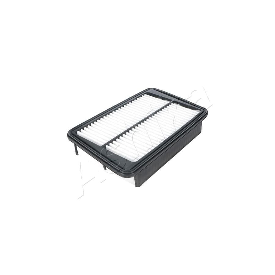 Ashika 20-00-017 Air Filter