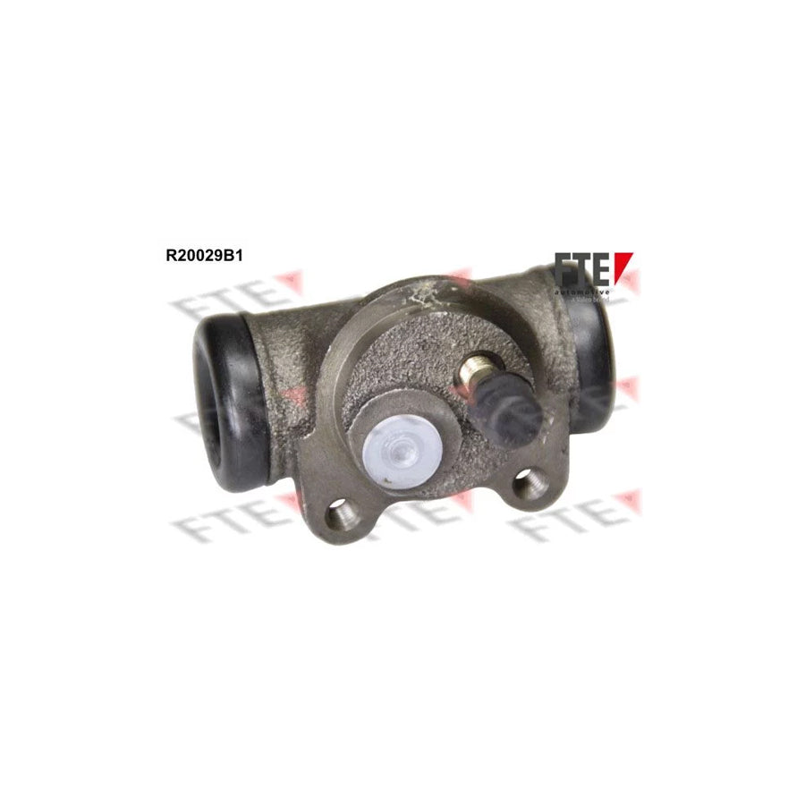FTE R20029B1 Wheel Brake Cylinder