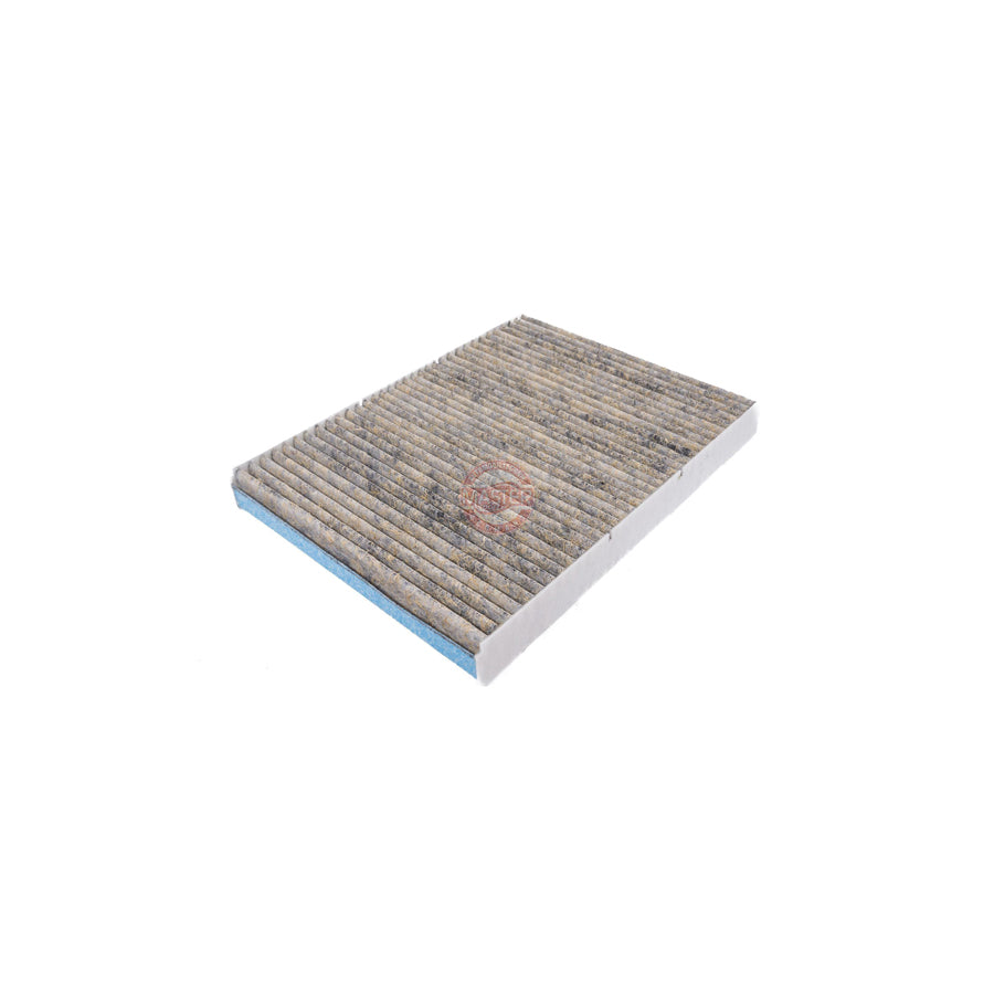 Master Sport 2862-IFB-PCS-Ms Pollen Filter