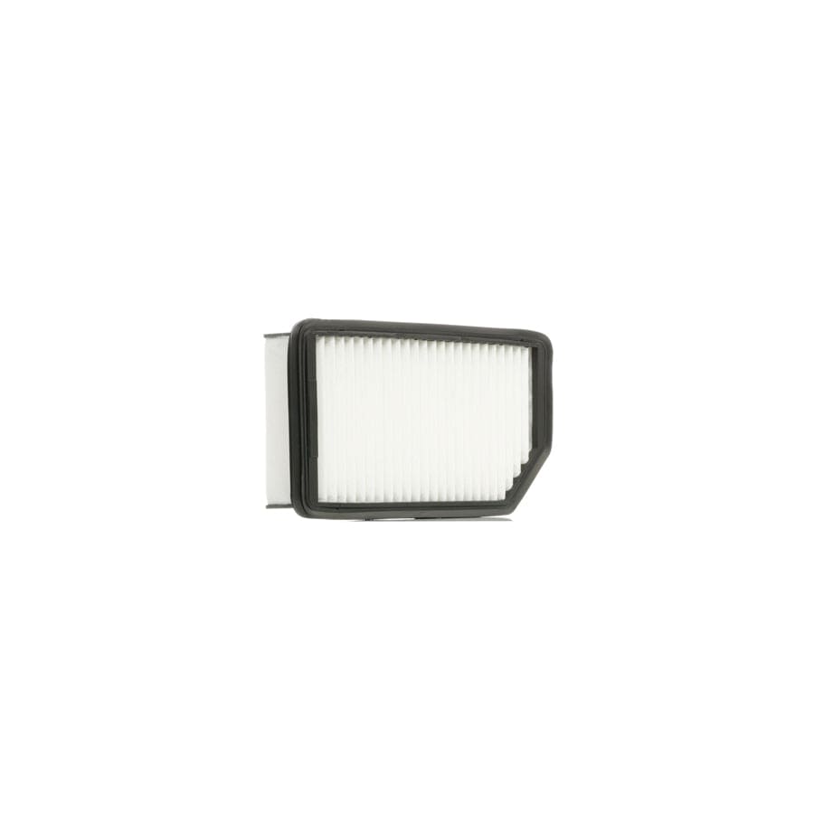 Ridex 8A0191 Air Filter
