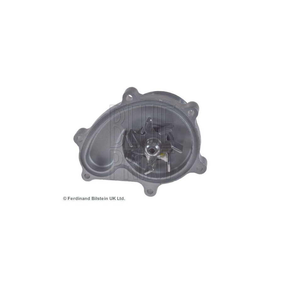 Blue Print Ads79123 Water Pump