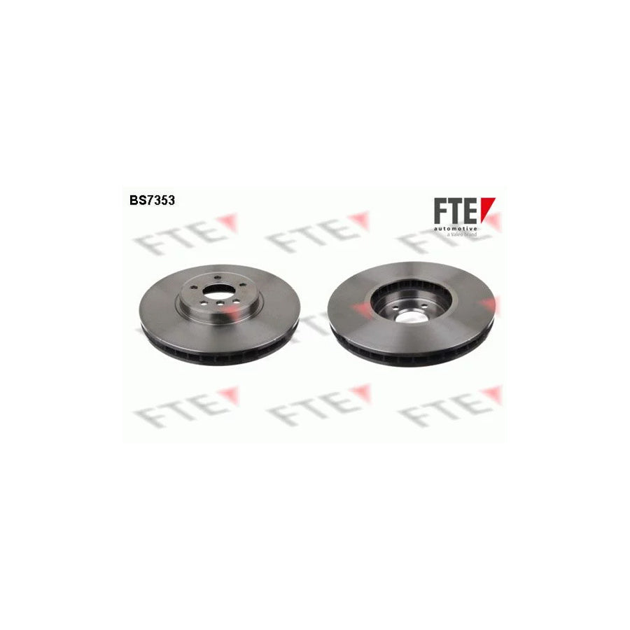 FTE Bs7353 Brake Disc