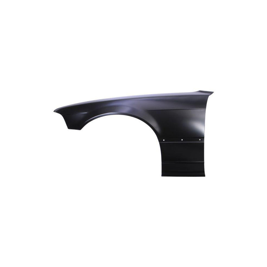 Blic 6504-04-0060315P Wing Fender For BMW 3 Series