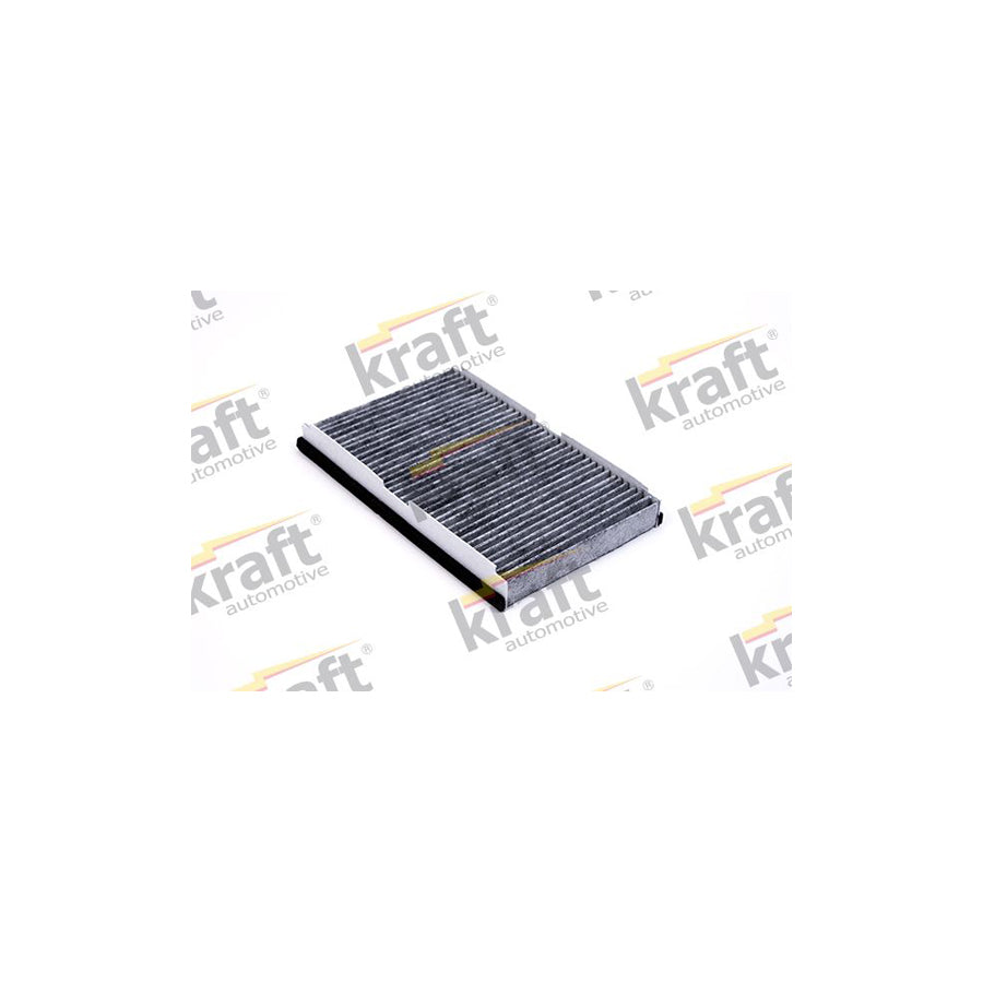 Kraft 1736001 Pollen Filter