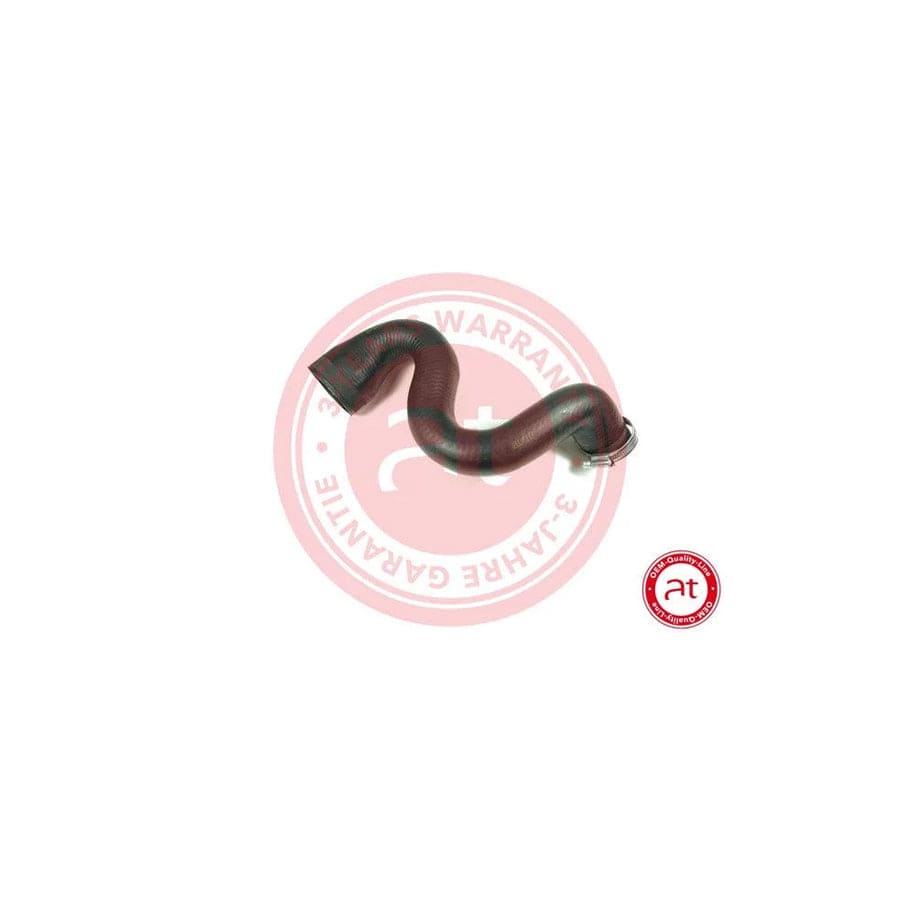 at autoteile germany At21131 Charger Intake Hose for Audi A4