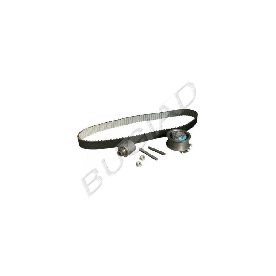 BUGIAD Bsp22716 Timing Belt Kit