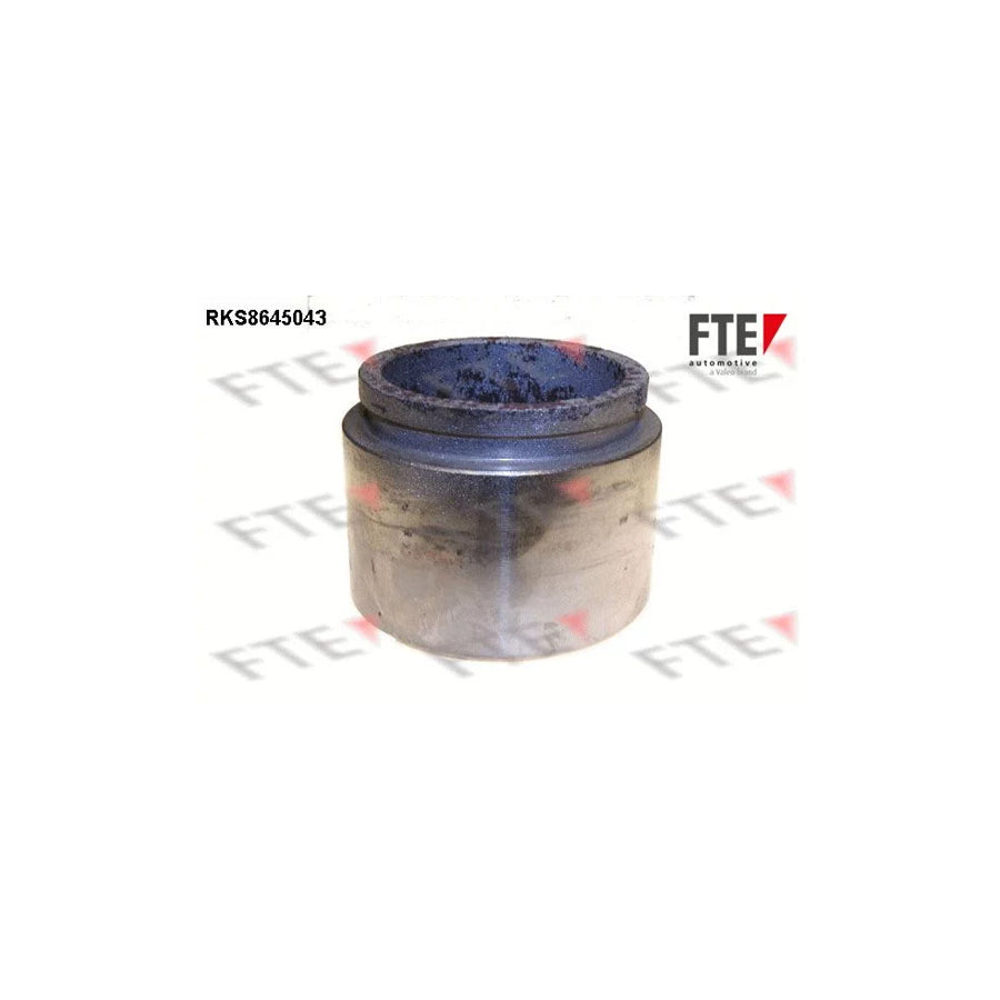FTE Rks8645043 Piston, Brake Caliper