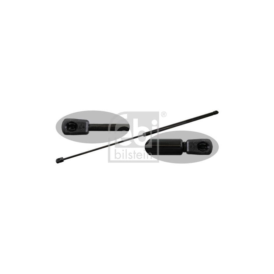 Febi Bilstein 47613 Tailgate Strut