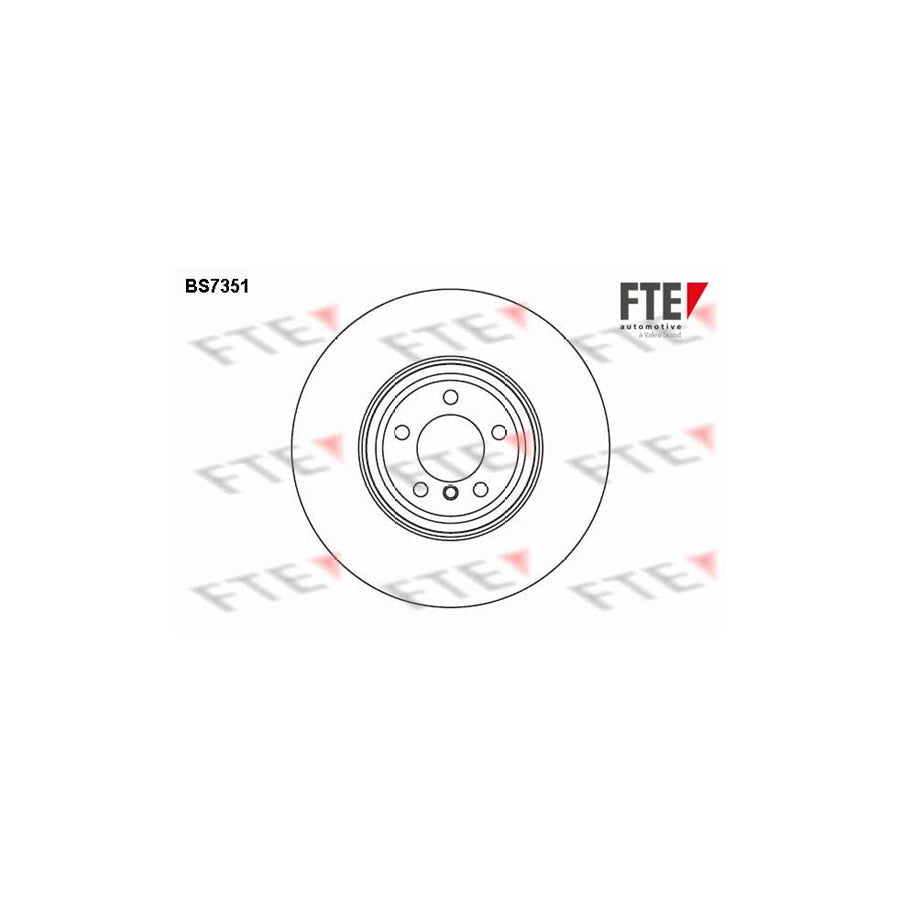 FTE Bs7351 Brake Disc for BMW 7 (E65, E66, E67)
