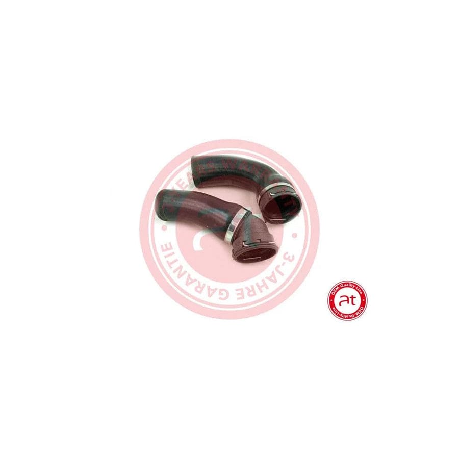 at autoteile germany At21180 Charger Intake Hose