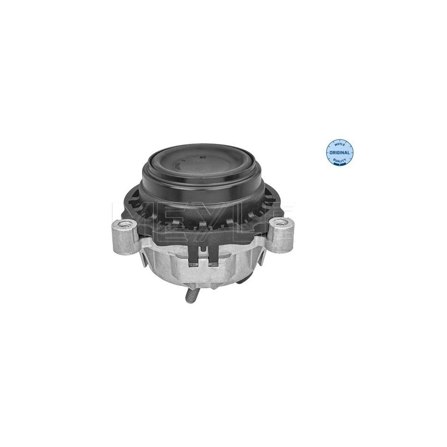 Meyle 300 221 2121 Engine Mount