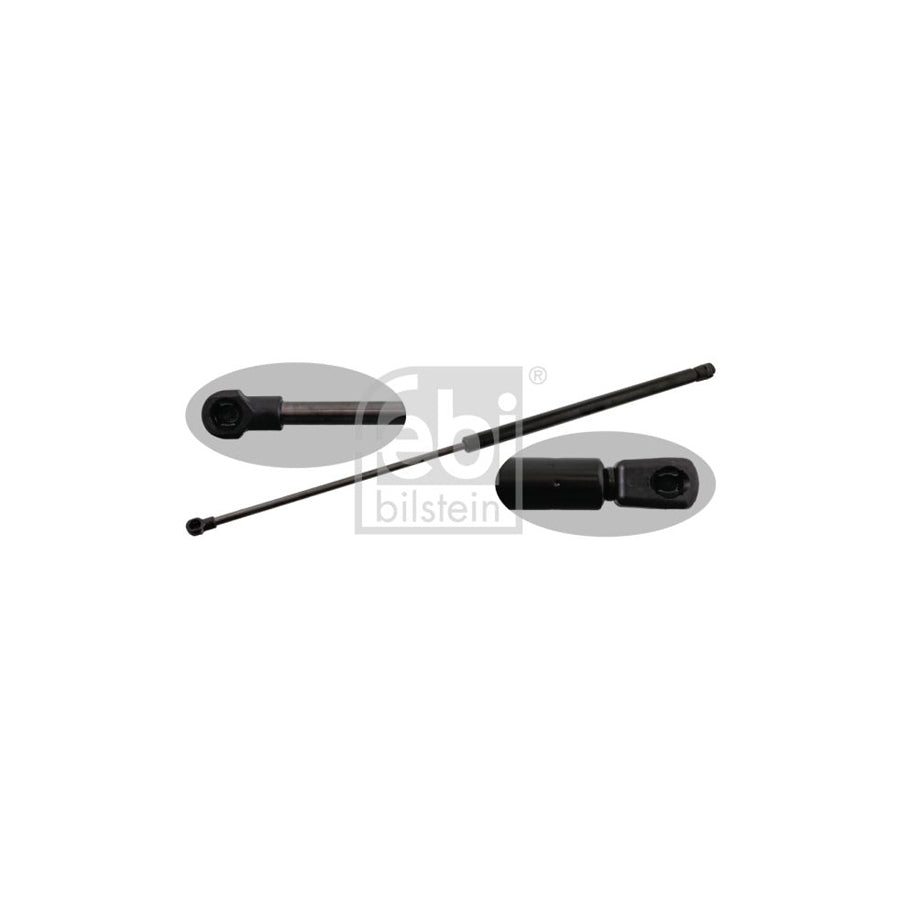 Febi Bilstein 47619 Tailgate Strut