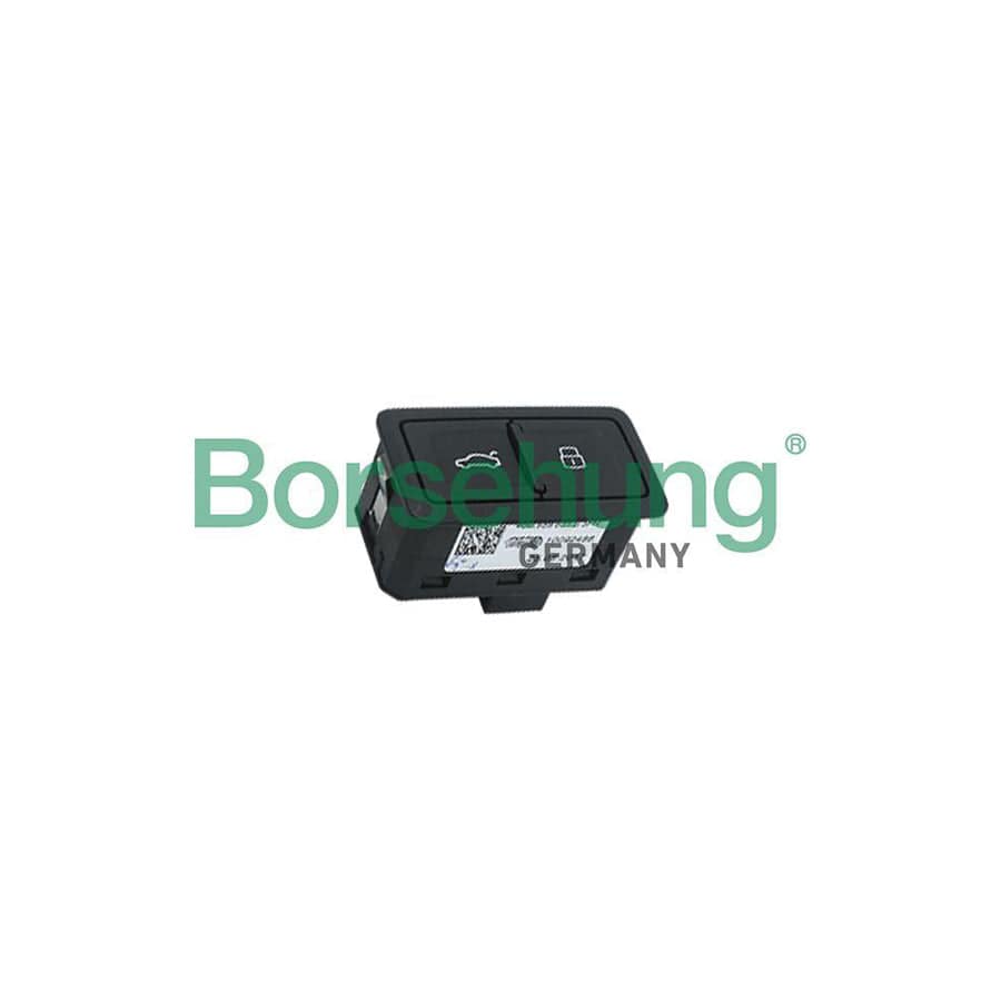 Borsehung B18090 Switch, Rear Hatch Release