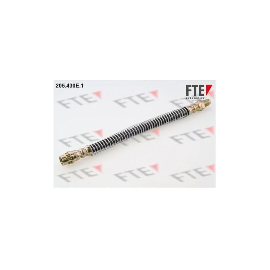 FTE 205.430E.1 Brake Hose