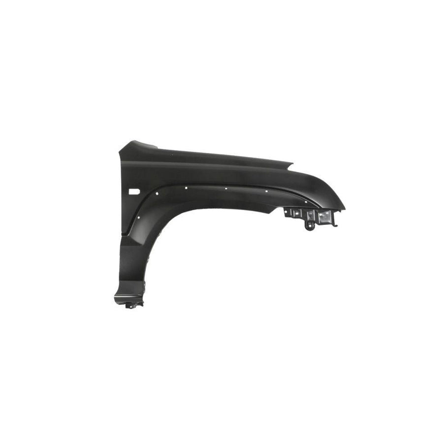 Blic 6504-04-8136314P Wing Fender For Toyota Land Cruiser Prado 120 (J120)