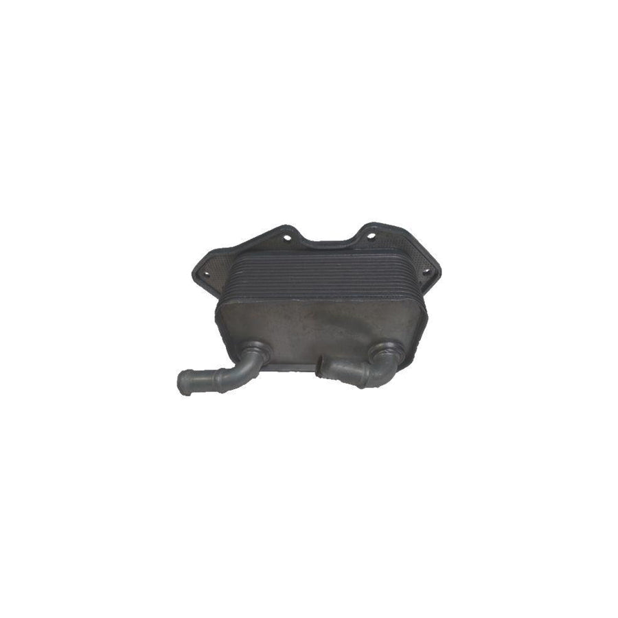 BUGIAD Bsp24978 Engine Oil Cooler