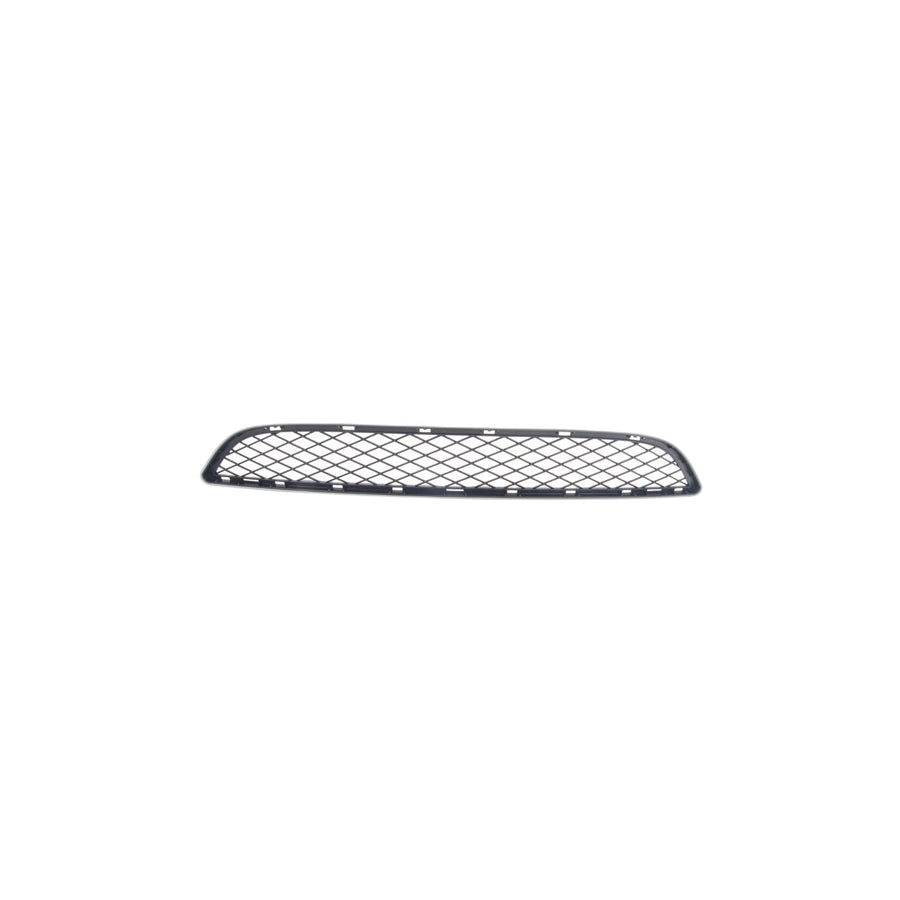 Genuine BMW 51117176282 E71 E72 Grill, Center Lower SCHWARZ (Inc. Hybrid X6, X6 M50dX & X6 35dX) | ML Performance US Car Parts