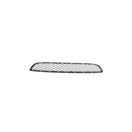 Genuine BMW 51117176282 E71 E72 Grill, Center Lower SCHWARZ (Inc. Hybrid X6, X6 M50dX & X6 35dX) | ML Performance US Car Parts