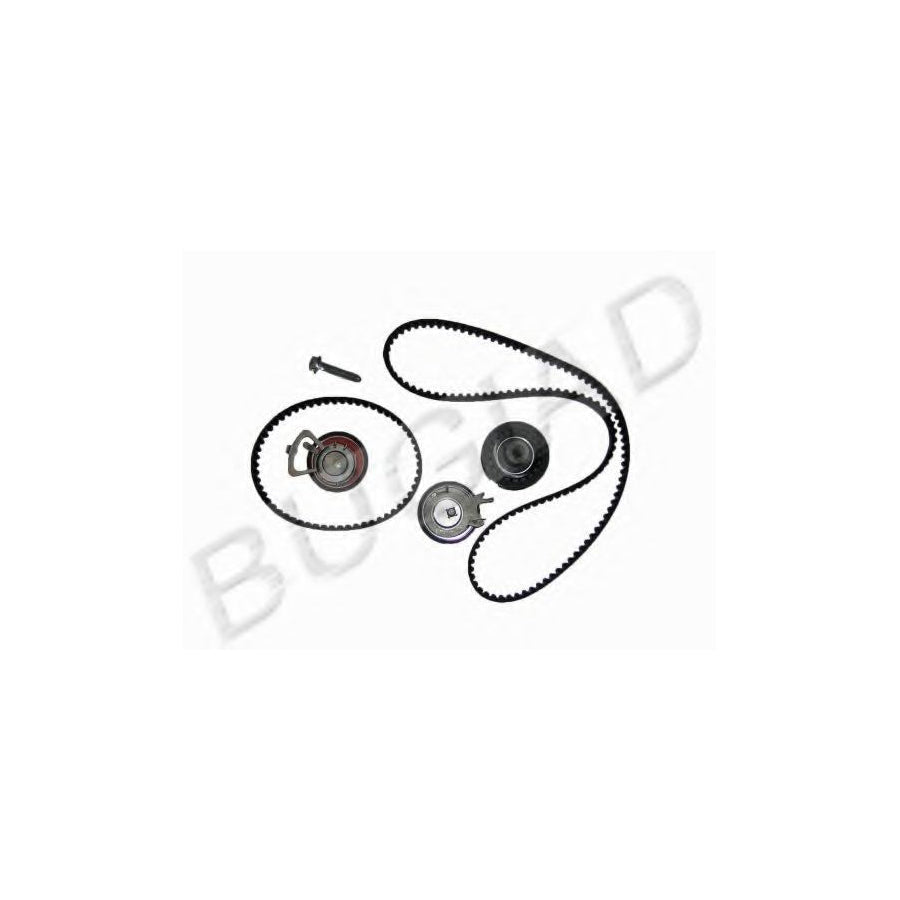 BUGIAD Bsp22759 Timing Belt Kit