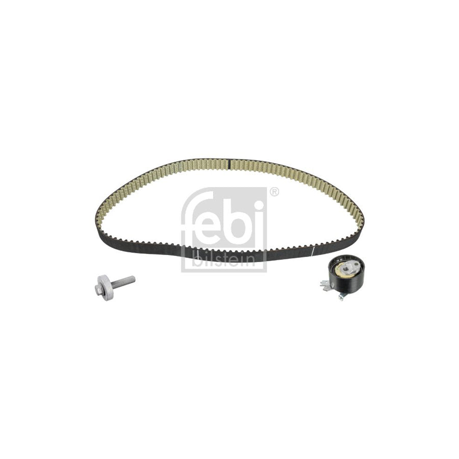 Febi Bilstein 100520 Timing Belt Kit
