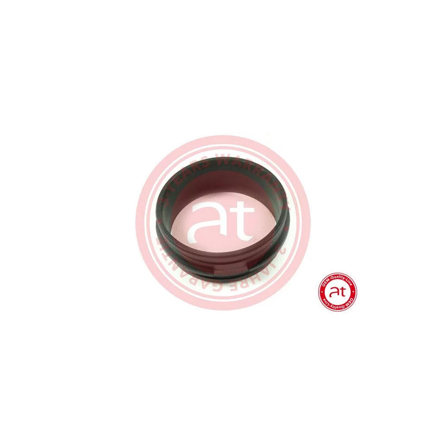 at autoteile germany At21247 Intake Pipe, Air Filter