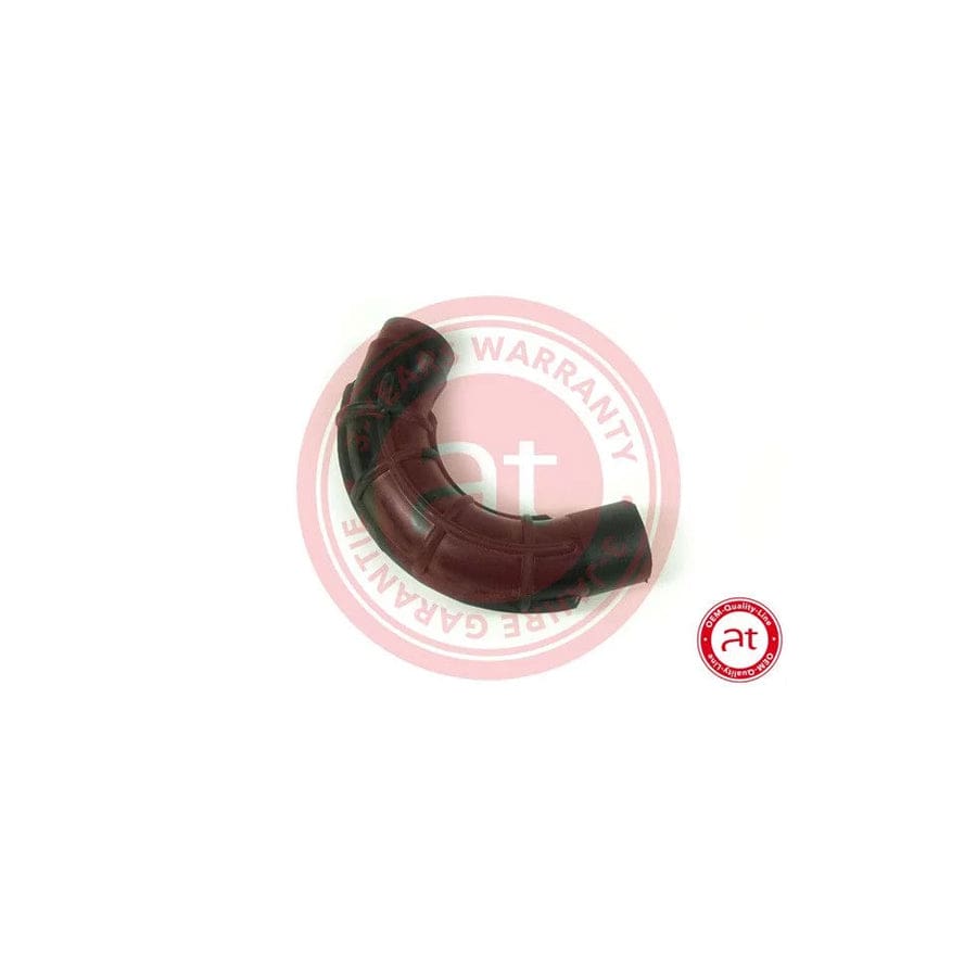 at autoteile germany At21244 Intake Pipe, Air Filter