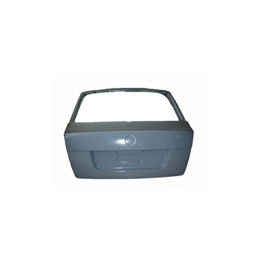 BUGIAD Bsp22755 Boot- / Cargo Area LID for Skoda Octavia II Hatchback (1Z3)