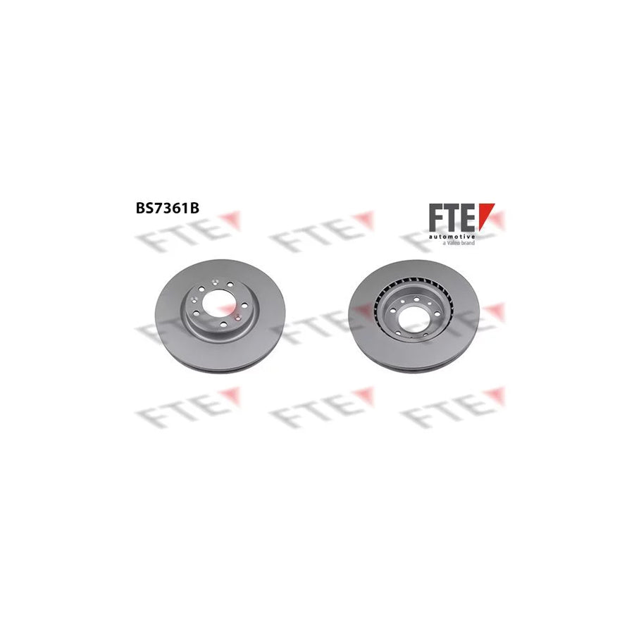 FTE Bs7361B Brake Disc for Citroã N C4
