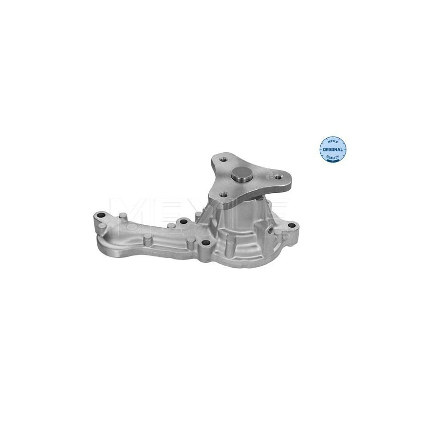 Meyle 31-13 220 0010 Water Pump