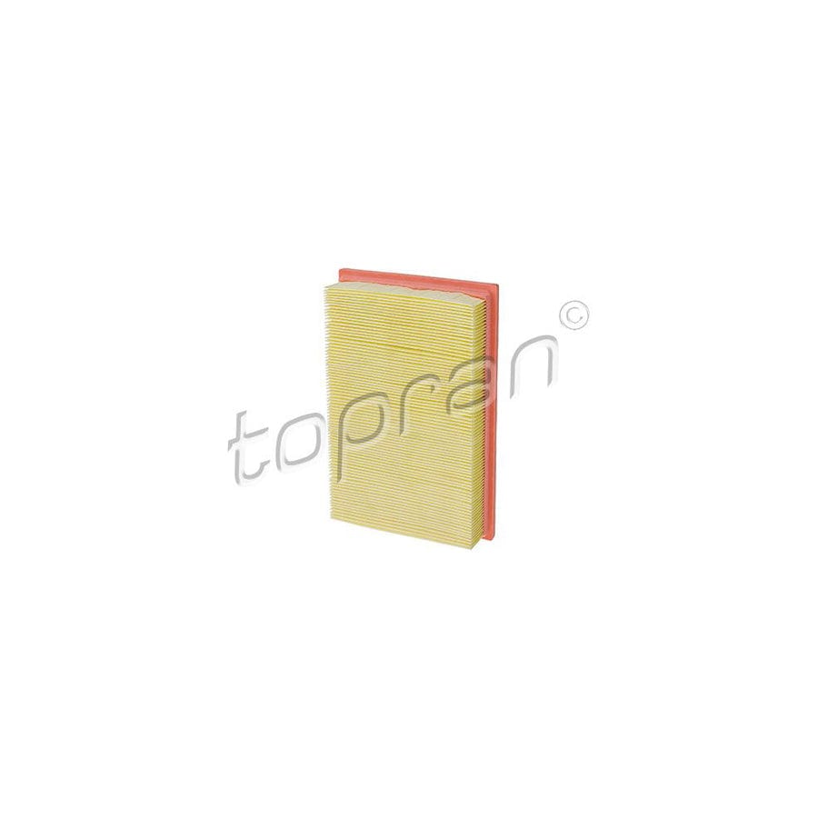 Topran 207 138 Air Filter